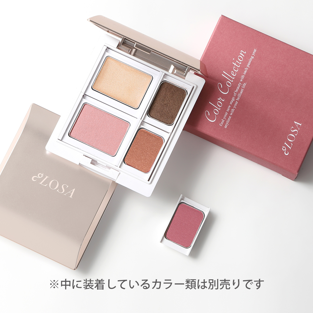 カラーコレクション　ケース